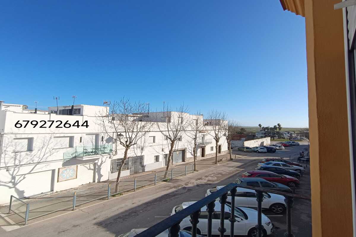 WhatsApp Image 2026-02-10 at 17.42.51 (8)