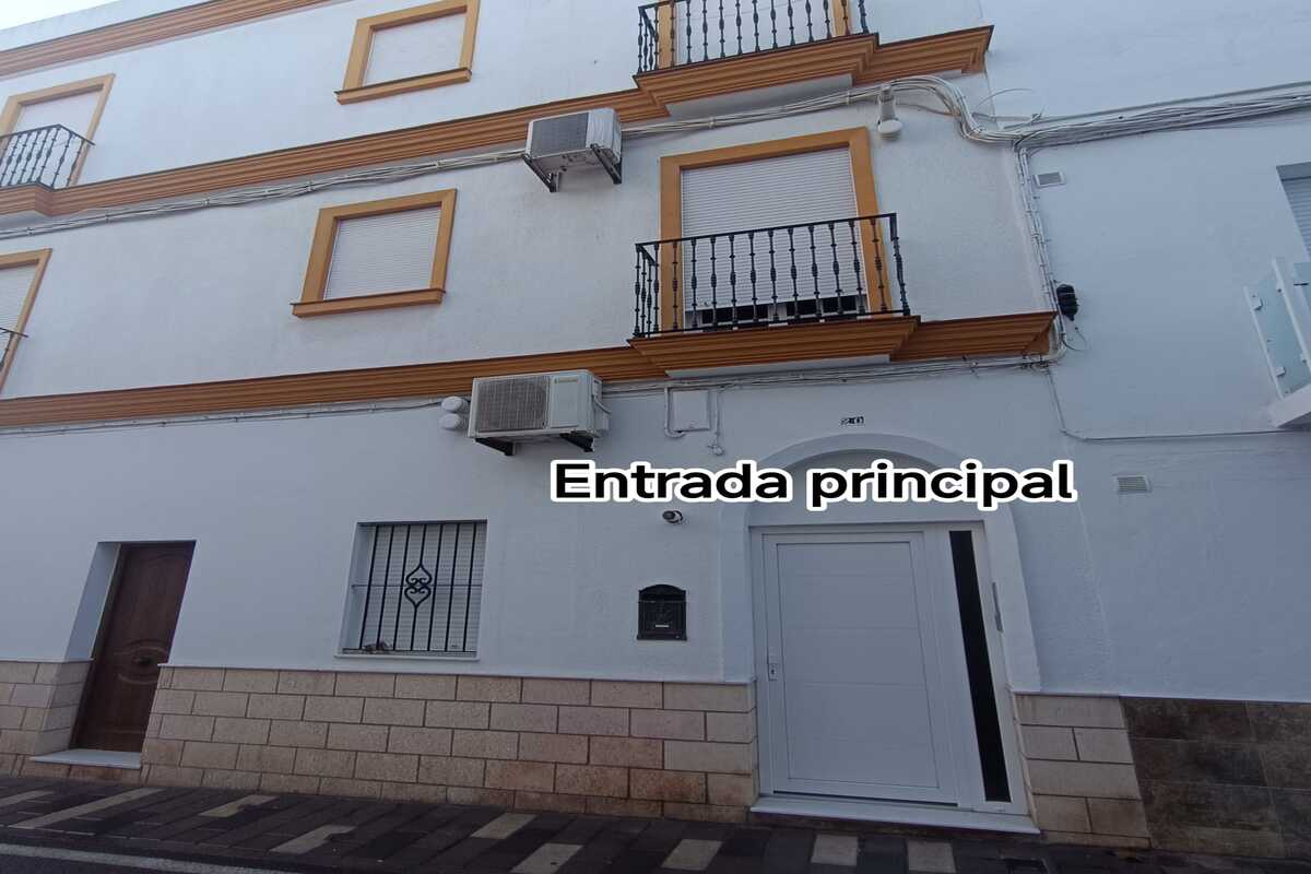 WhatsApp Image 2026-02-10 at 19.22.36