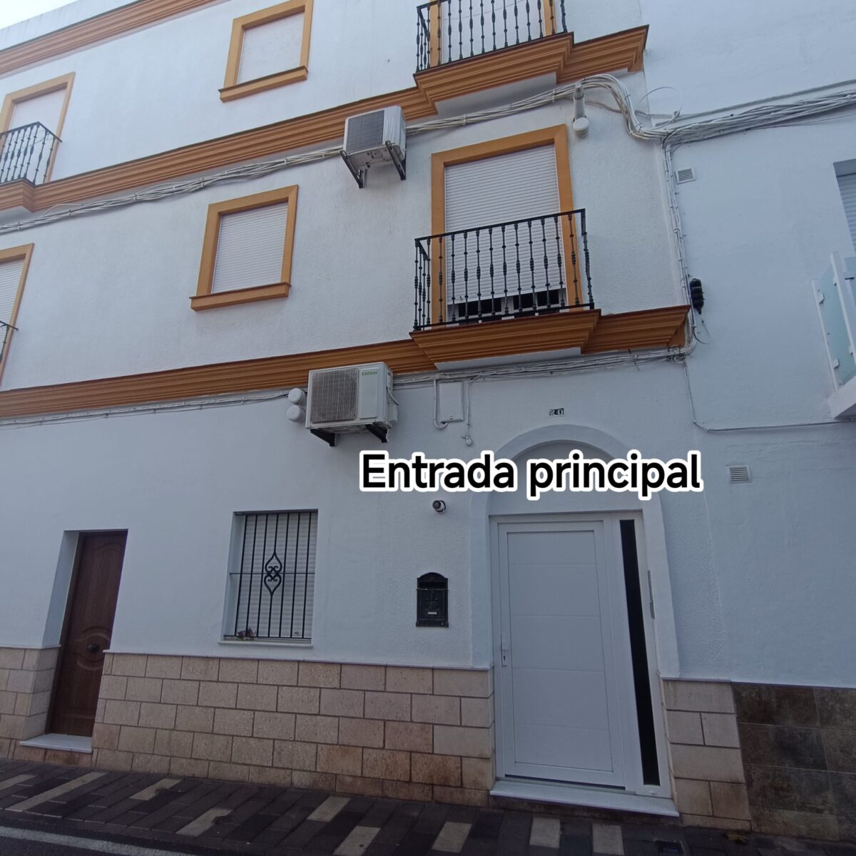 WhatsApp Image 2026-02-10 at 19.22.36